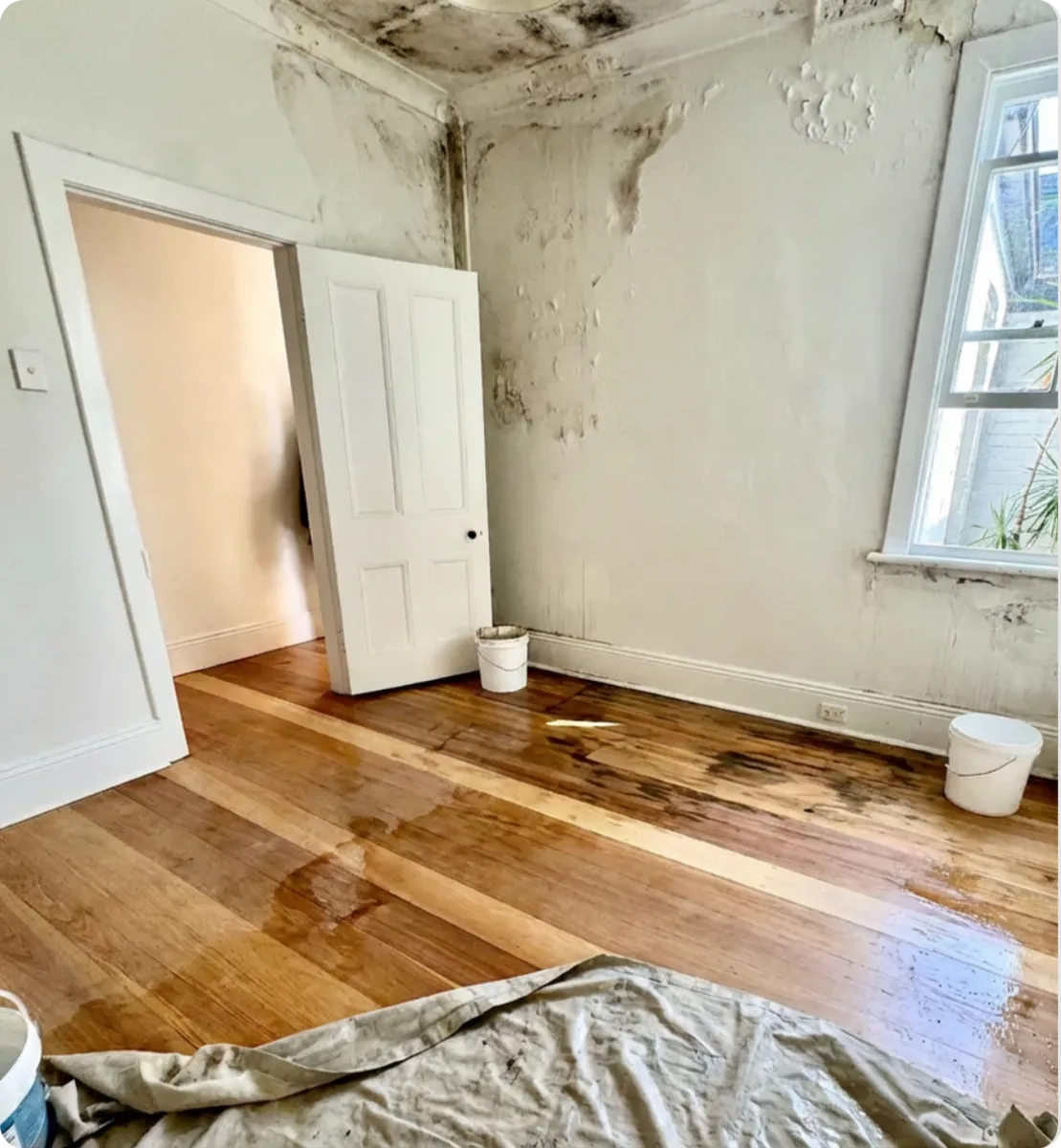 Irene's terrace — built-in joinery and hallway